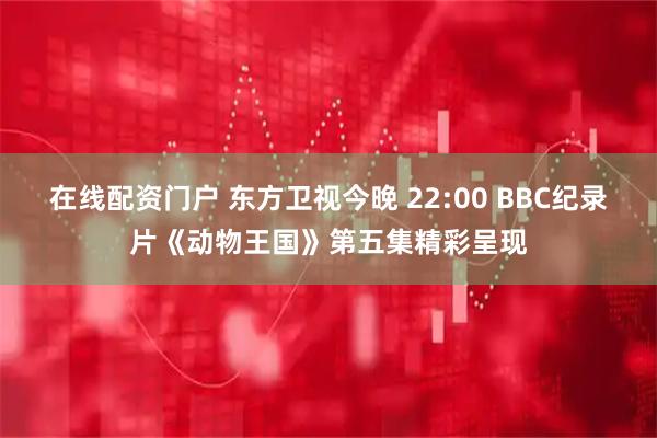在线配资门户 东方卫视今晚 22:00 BBC纪录片《动物王国》第五集精彩呈现